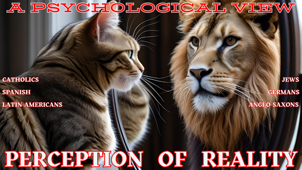 4. Perception of Reality: Point of View—Perspectives